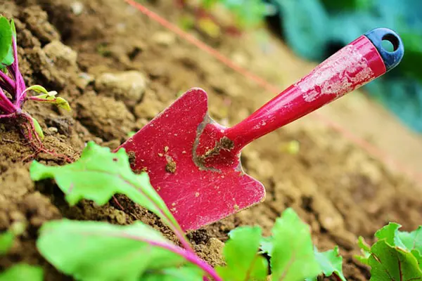 Red hand shovel in dirt