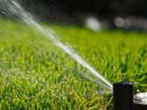 How much water are you putting on your lawn?