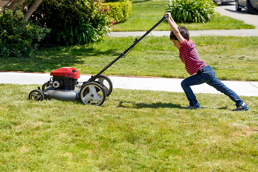 Mulch your grass clippings – don’t bag them