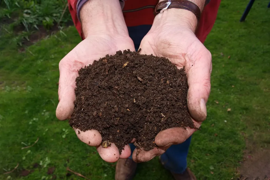 Holding soil in hand