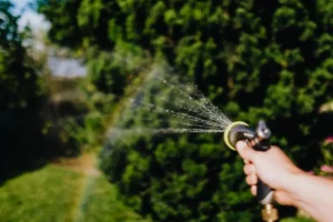 Spraying with a water hose