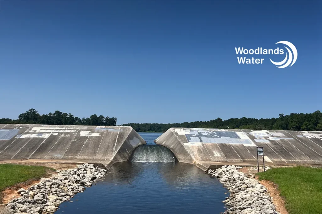 Bear Branch Dam