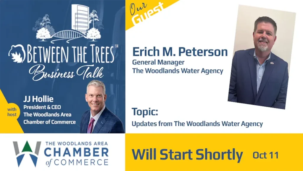 Between the Trees Business Talk