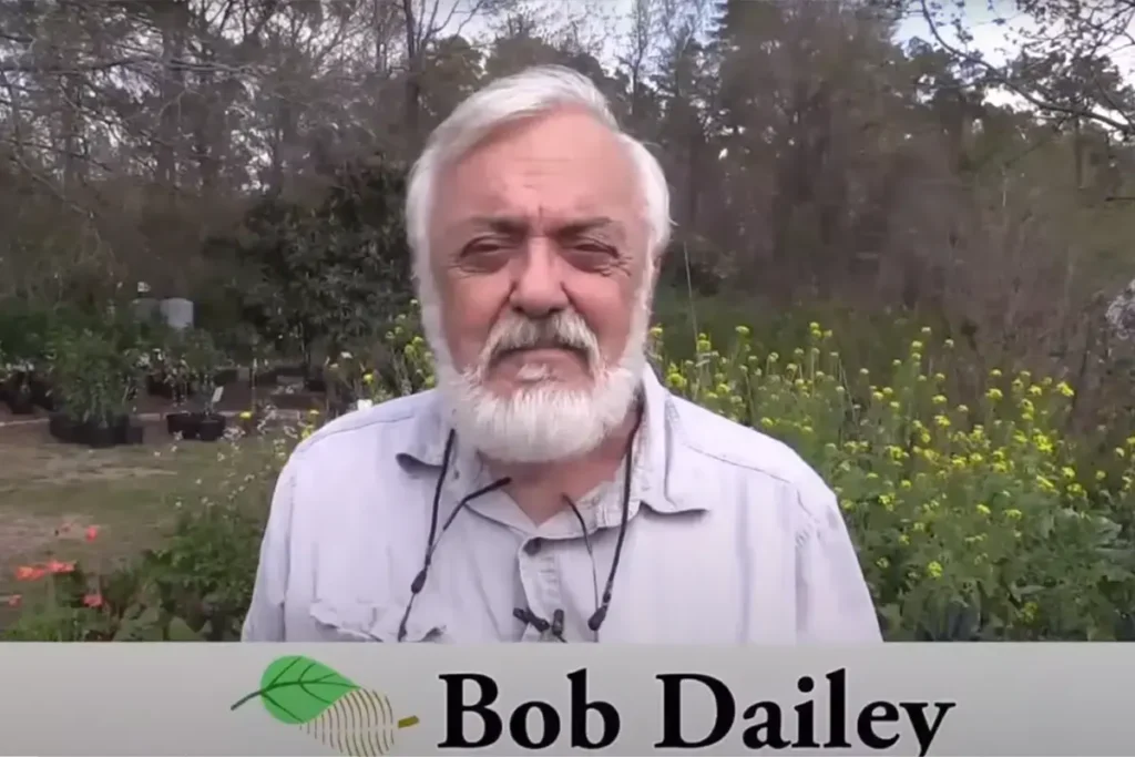 Bob Dailey
