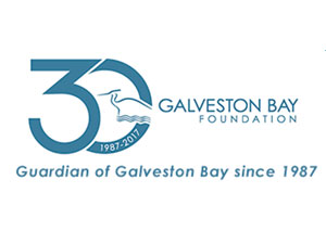 galveston bay foundation