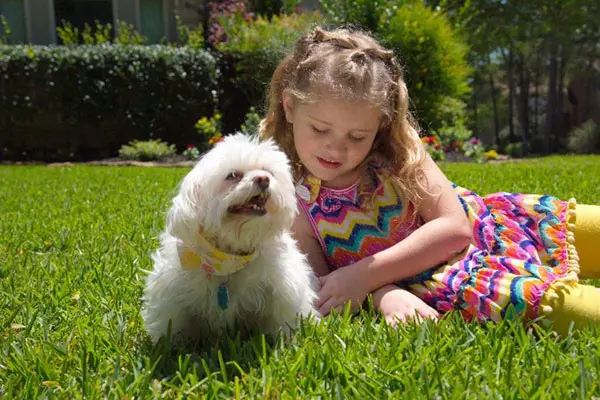 Girl with a dog on the lawn