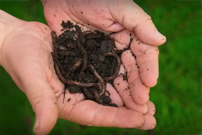 Holding earthworms and soil