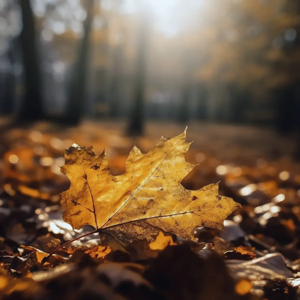 Leaves in autumn on the ground