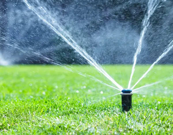 Sprinkler on grass