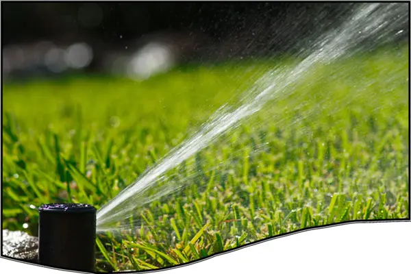Sprinkler watering lawn