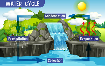 Water Cycle Glossary of Terms