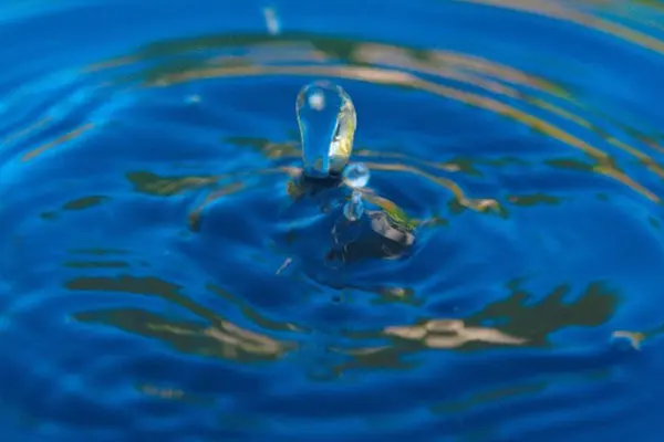 Water ripples with a drop